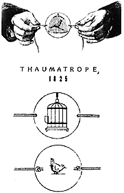 thaumatrope